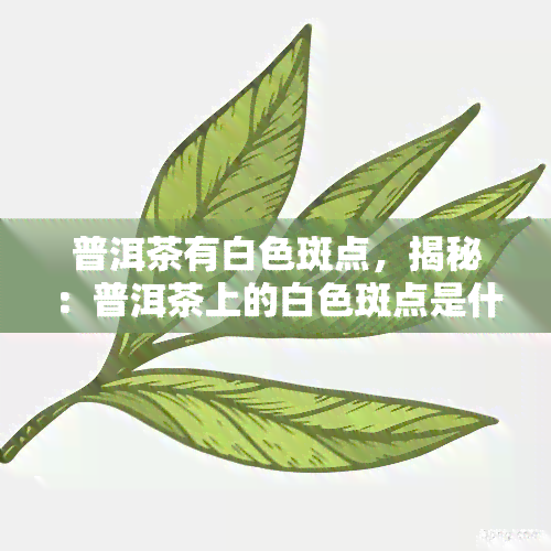 普洱茶有白色斑点，揭秘：普洱茶上的白色斑点是什么？