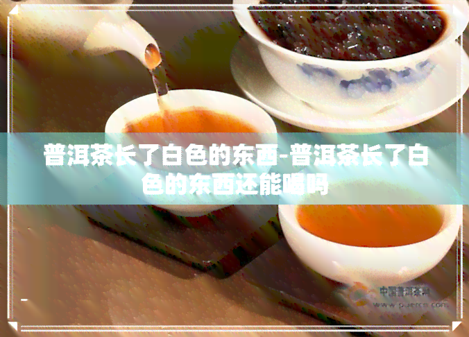 普洱茶长了白色的东西-普洱茶长了白色的东西还能喝吗