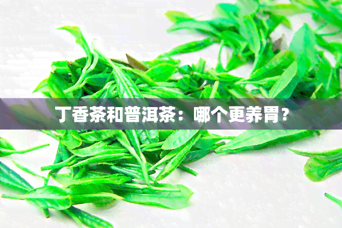 丁香茶和普洱茶：哪个更养胃？