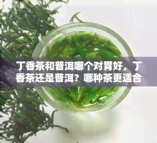 丁香茶和普洱哪个对胃好，丁香茶还是普洱？哪种茶更适合你的胃？