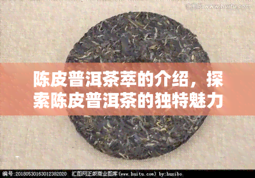 陈皮普洱茶萃的介绍，探索陈皮普洱茶的独特魅力：一种充满口感和健益处的茶萃