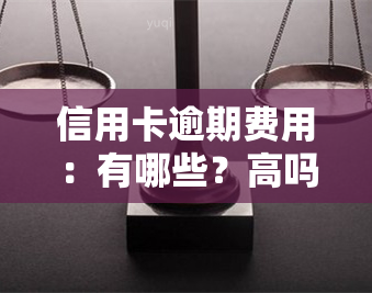 信用卡逾期费用：有哪些？高吗？信用卡逾期的影响是什么？