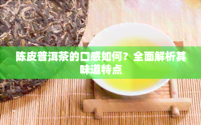 陈皮普洱茶的口感如何？全面解析其味道特点