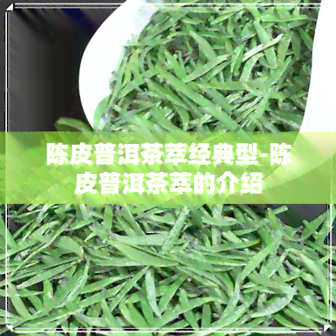 陈皮普洱茶萃经典型-陈皮普洱茶萃的介绍