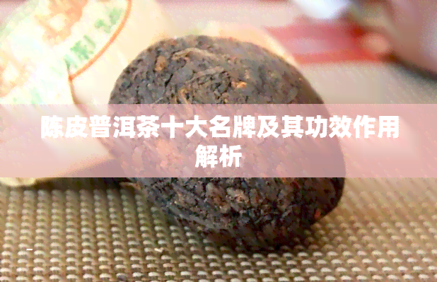 陈皮普洱茶十大名牌及其功效作用解析