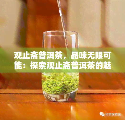 观止斋普洱茶，品味无限可能：探索观止斋普洱茶的魅力