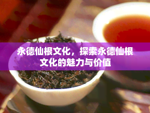 永德仙根文化，探索永德仙根文化的魅力与价值