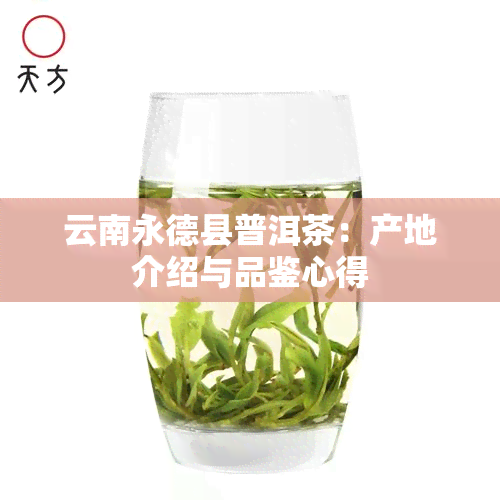 云南永德县普洱茶：产地介绍与品鉴心得