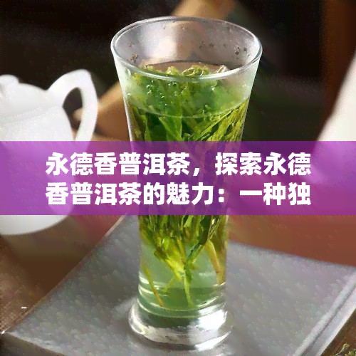 永德香普洱茶，探索永德香普洱茶的魅力：一种独特的茶叶体验