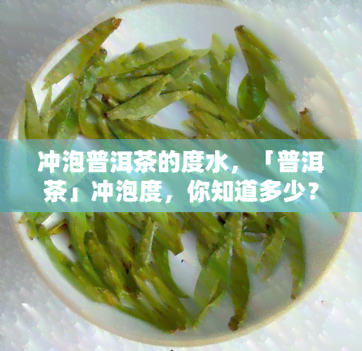 冲泡普洱茶的度水，「普洱茶」冲泡度，你知道多少？