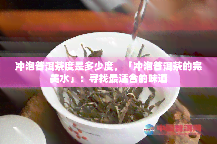 冲泡普洱茶度是多少度，「冲泡普洱茶的完美水」：寻找最适合的味道