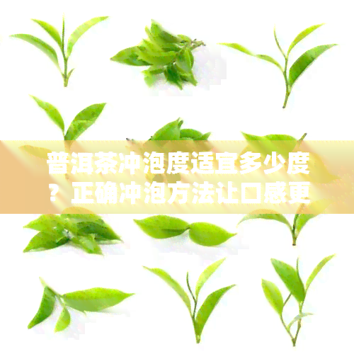 普洱茶冲泡度适宜多少度？正确冲泡方法让口感更佳！