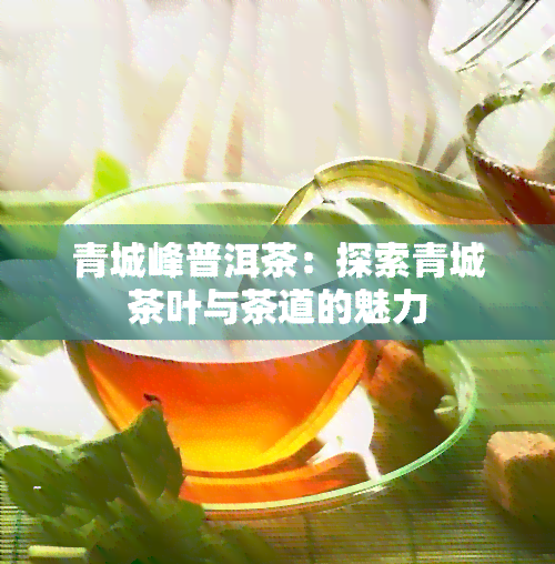 青城峰普洱茶：探索青城茶叶与茶道的魅力