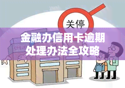 金融办信用卡逾期处理办法全攻略