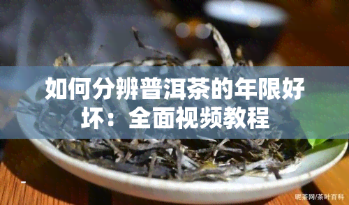 如何分辨普洱茶的年限好坏：全面视频教程