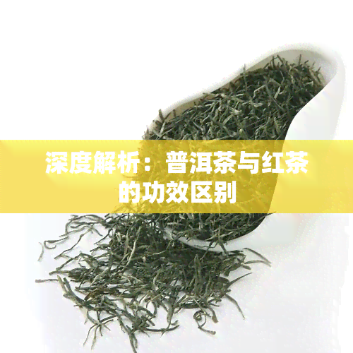 深度解析：普洱茶与红茶的功效区别