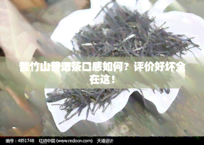 苦竹山普洱茶口感如何？评价好坏全在这！