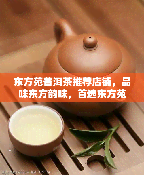 东方苑普洱茶推荐店铺，品味东方韵味，首选东方苑普洱茶推荐店铺