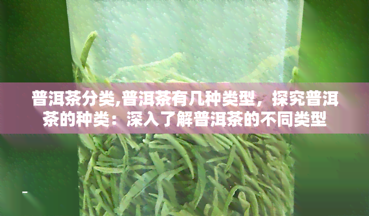 普洱茶分类,普洱茶有几种类型，探究普洱茶的种类：深入了解普洱茶的不同类型