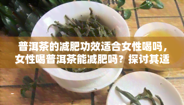 普洱茶的减肥功效适合女性喝吗，女性喝普洱茶能减肥吗？探讨其适宜性与效果