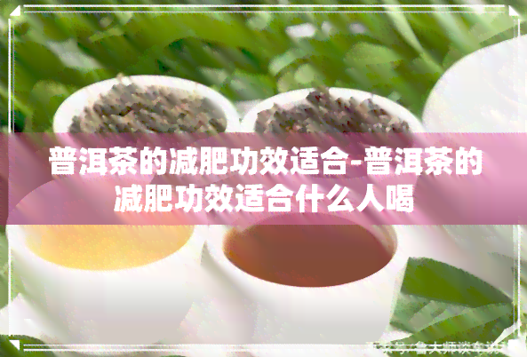 普洱茶的减肥功效适合-普洱茶的减肥功效适合什么人喝