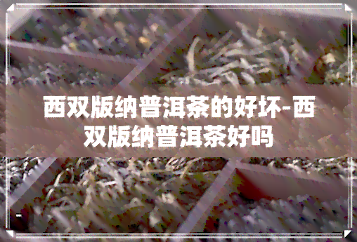 西双版纳普洱茶的好坏-西双版纳普洱茶好吗