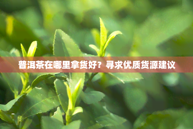 普洱茶在哪里拿货好？寻求优质货源建议