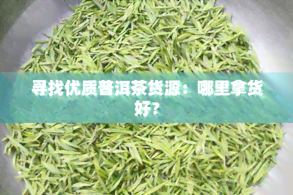 寻找优质普洱茶货源：哪里拿货好？