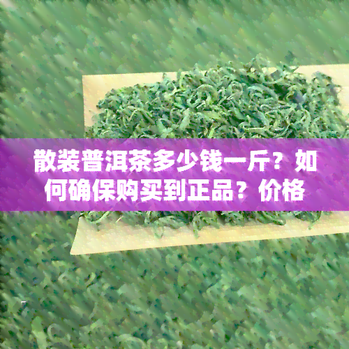 散装普洱茶多少钱一斤？如何确保购买到正品？价格是多少？