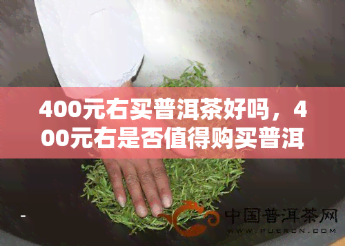 400元右买普洱茶好吗，400元右是否值得购买普洱茶？