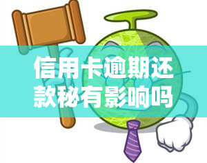 信用卡逾期还款秘有影响吗，揭秘信用卡逾期还款的影响：你需要知道的秘密