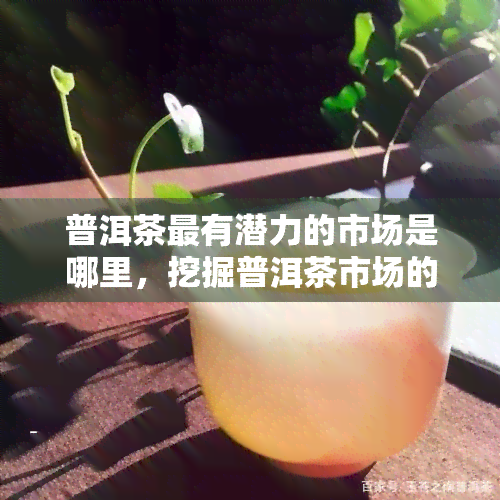 普洱茶最有潜力的市场是哪里，挖掘普洱茶市场的潜力：更具前景的销售区域在哪里？