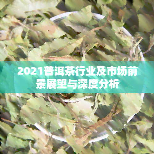 2021普洱茶行业及市场前景展望与深度分析