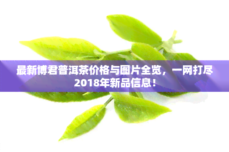 最新博君普洱茶价格与图片全览，一网打尽2018年新品信息！