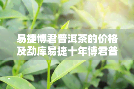 易捷博君普洱茶的价格及勐库易捷十年博君普洱茶的售价信息