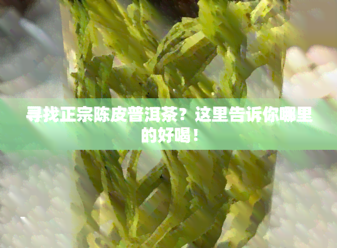 寻找正宗陈皮普洱茶？这里告诉你哪里的好喝！