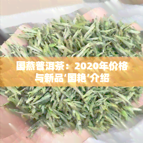 国燕普洱茶：2020年价格与新品‘国艳’介绍