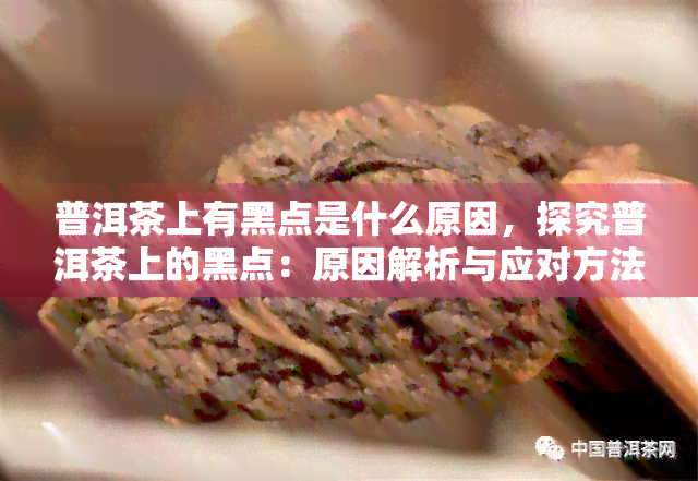 普洱茶上有黑点是什么原因，探究普洱茶上的黑点：原因解析与应对方法