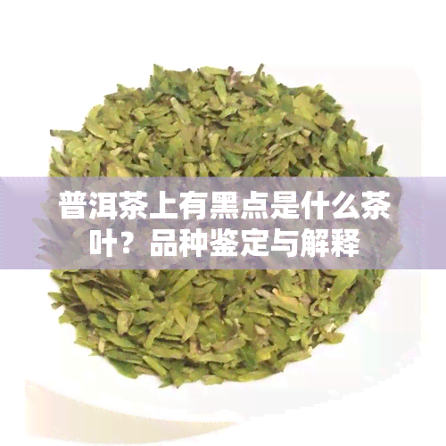 普洱茶上有黑点是什么茶叶？品种鉴定与解释