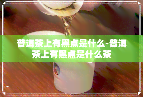 普洱茶上有黑点是什么-普洱茶上有黑点是什么茶