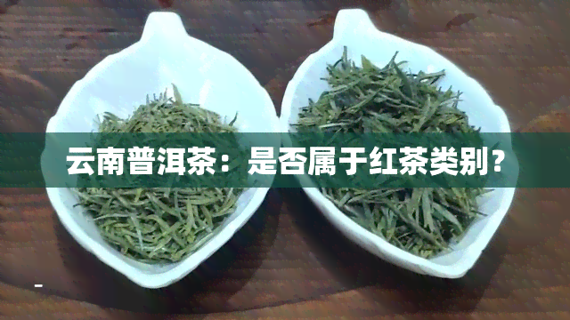 云南普洱茶：是否属于红茶类别？