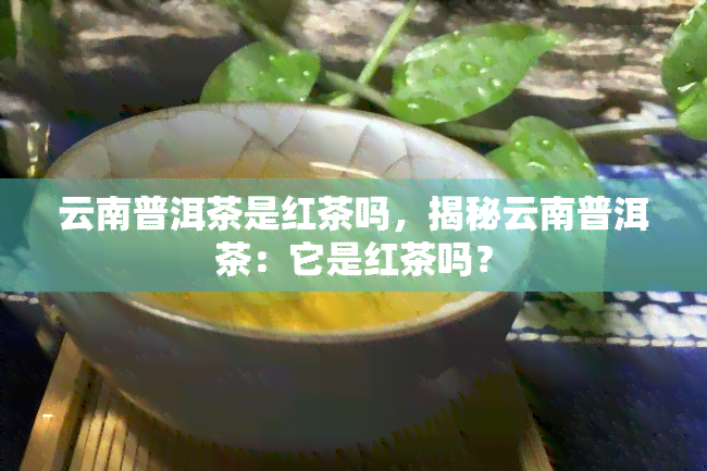 云南普洱茶是红茶吗，揭秘云南普洱茶：它是红茶吗？