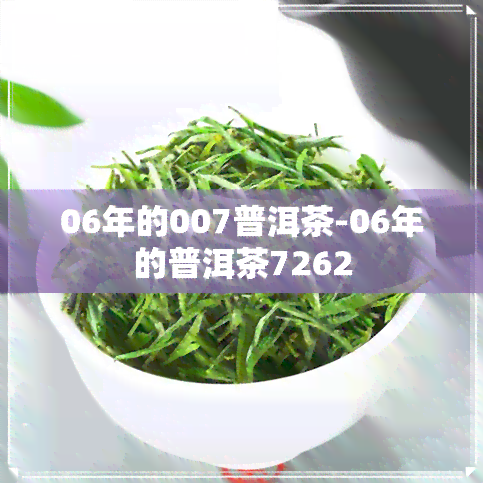 06年的007普洱茶-06年的普洱茶7262