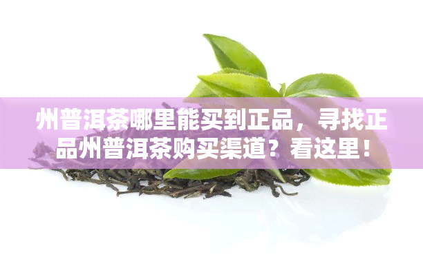 州普洱茶哪里能买到正品，寻找正品州普洱茶购买渠道？看这里！