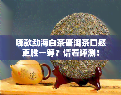 哪款勐海白茶普洱茶口感更胜一筹？请看评测！