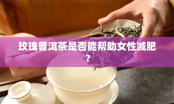 玫瑰普洱茶是否能帮助女性减肥？