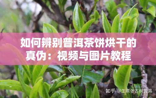 如何辨别普洱茶饼烘干的真伪：视频与图片教程