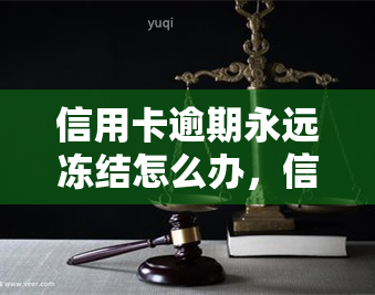 信用卡逾期永远冻结怎么办，信用卡逾期导致永久冻结，如何解决？