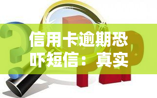 信用卡逾期短信：真实还是虚假信息？