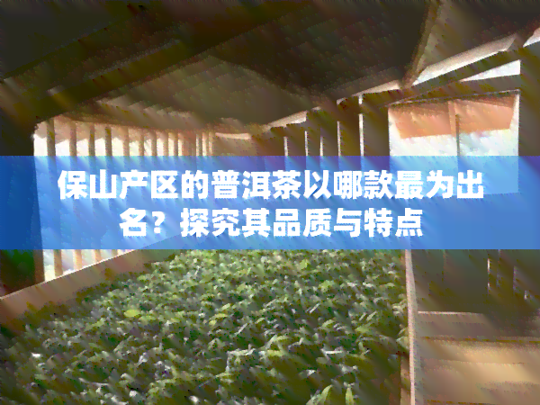 保山产区的普洱茶以哪款最为出名？探究其品质与特点